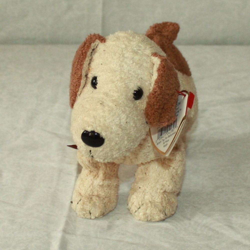 Rufus the dog